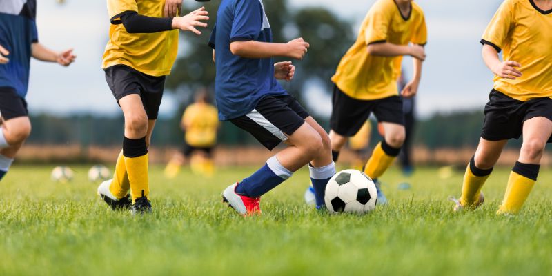 Tỷ lệ kèo bóng đá AFF Cup 2025 có gì đặc biệt so với các mùa trước?